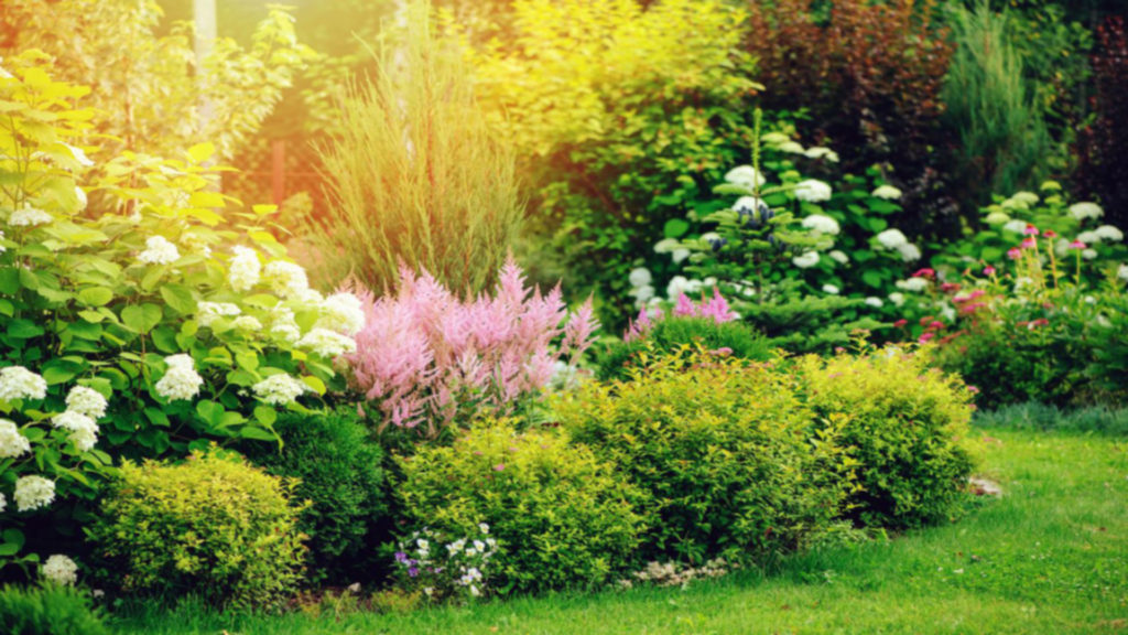 Mirisne bašte – saveti za kreiranje mirisne bašte